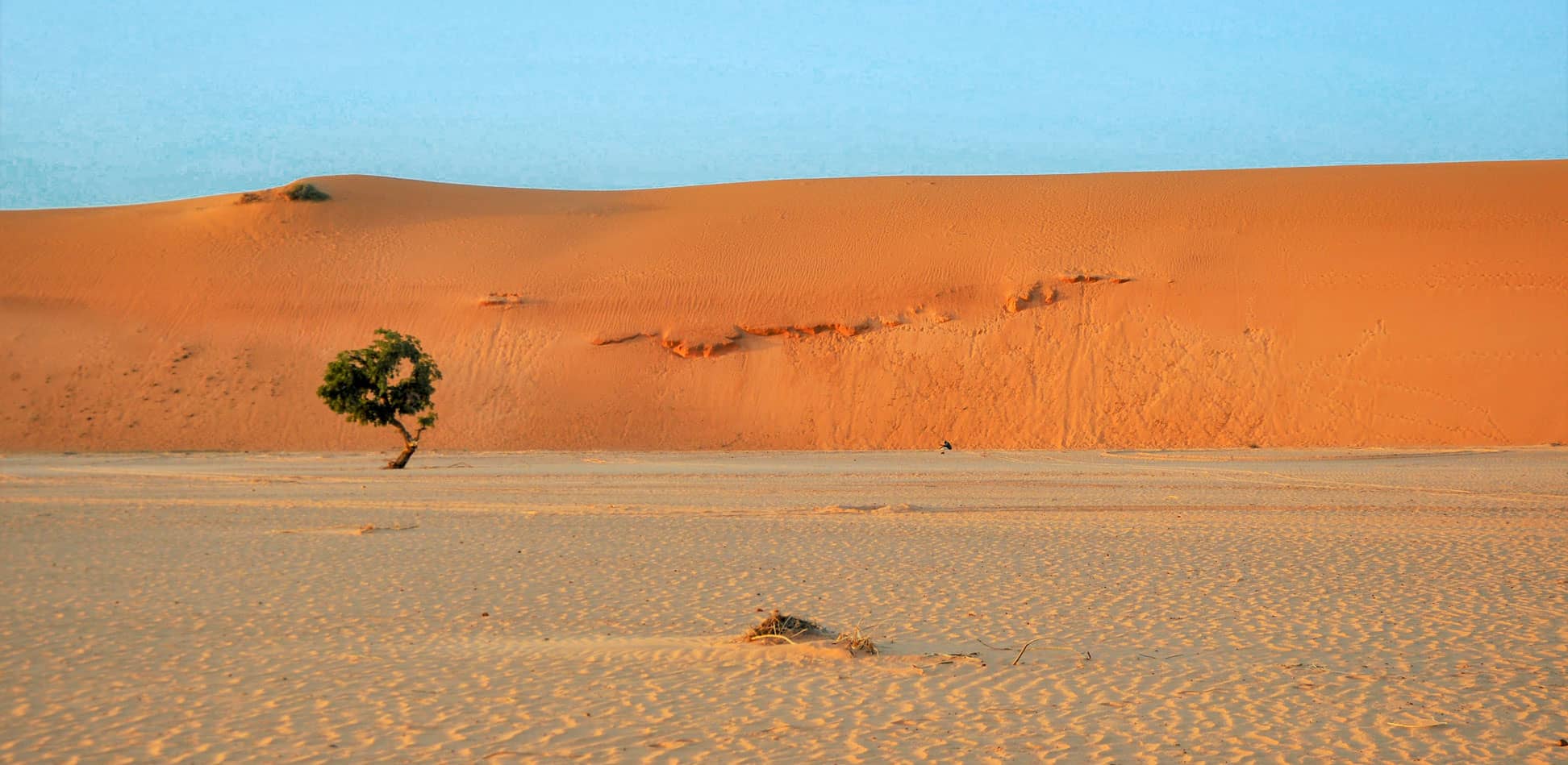 Niger Population Interesting Facts Currency Cities Brief Information